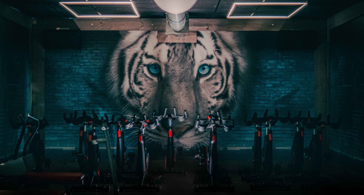 fame fitness impressie